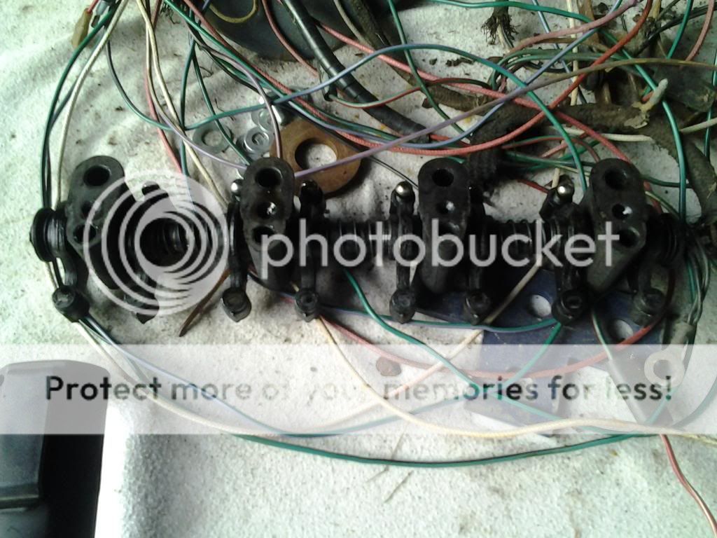 Posted Image