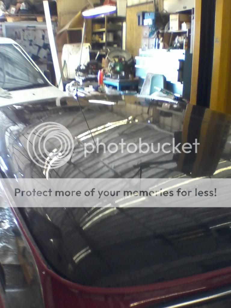 Posted Image