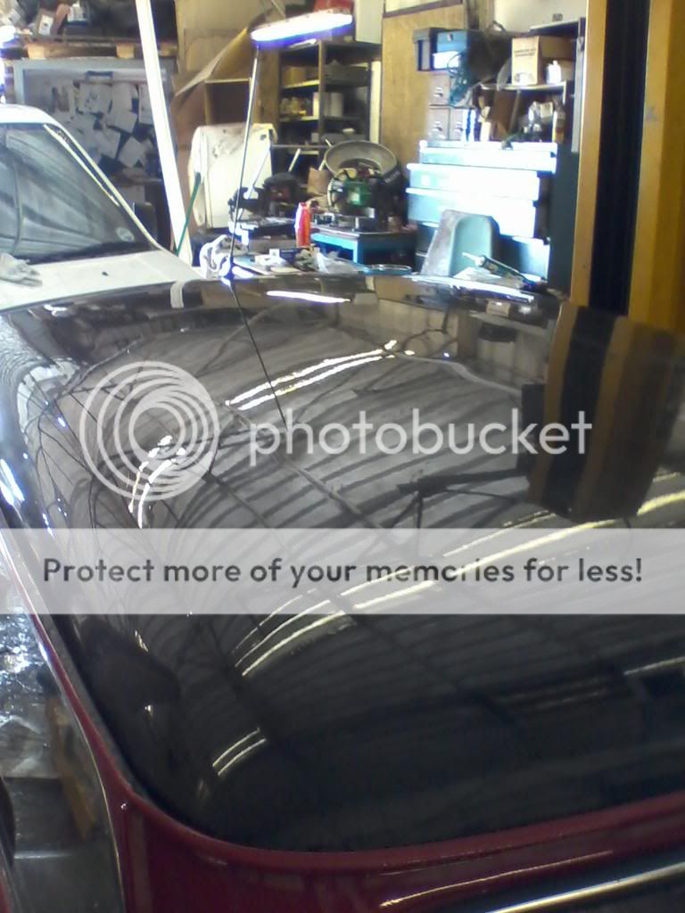 Posted Image