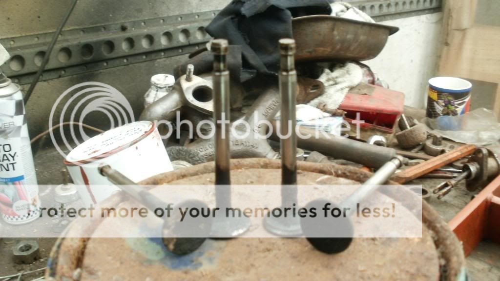 Posted Image