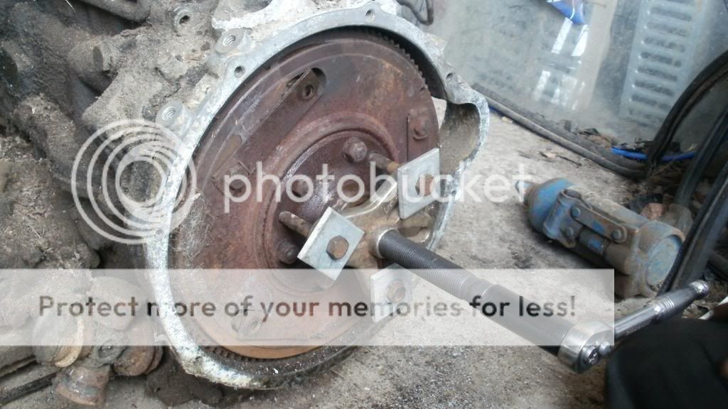 Posted Image