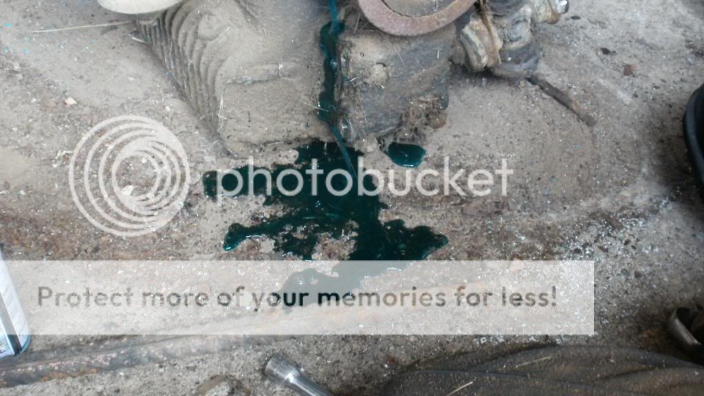 Posted Image