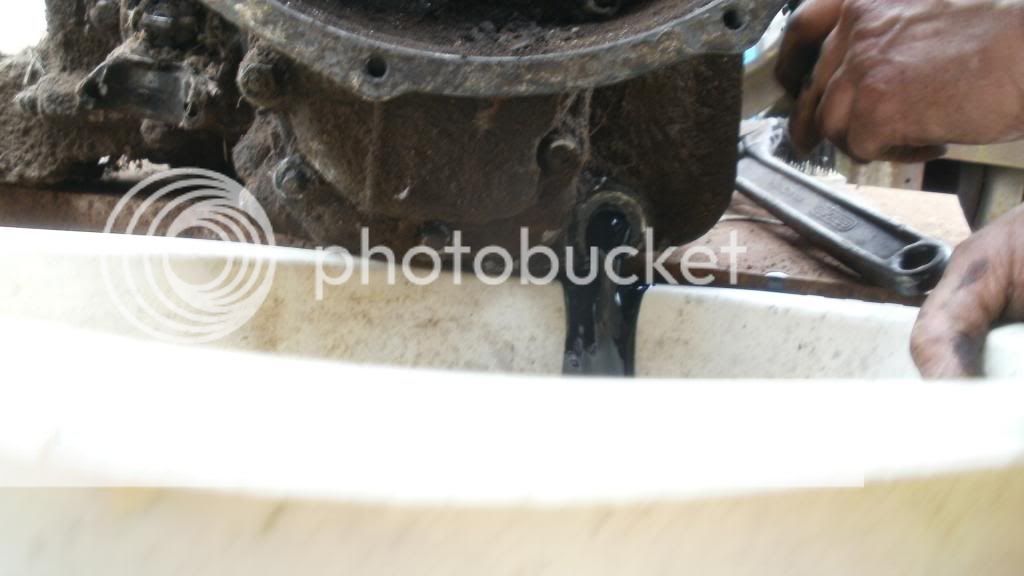 Posted Image