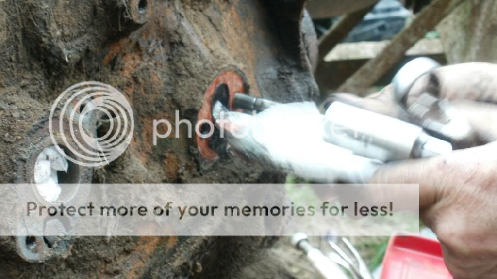 Posted Image