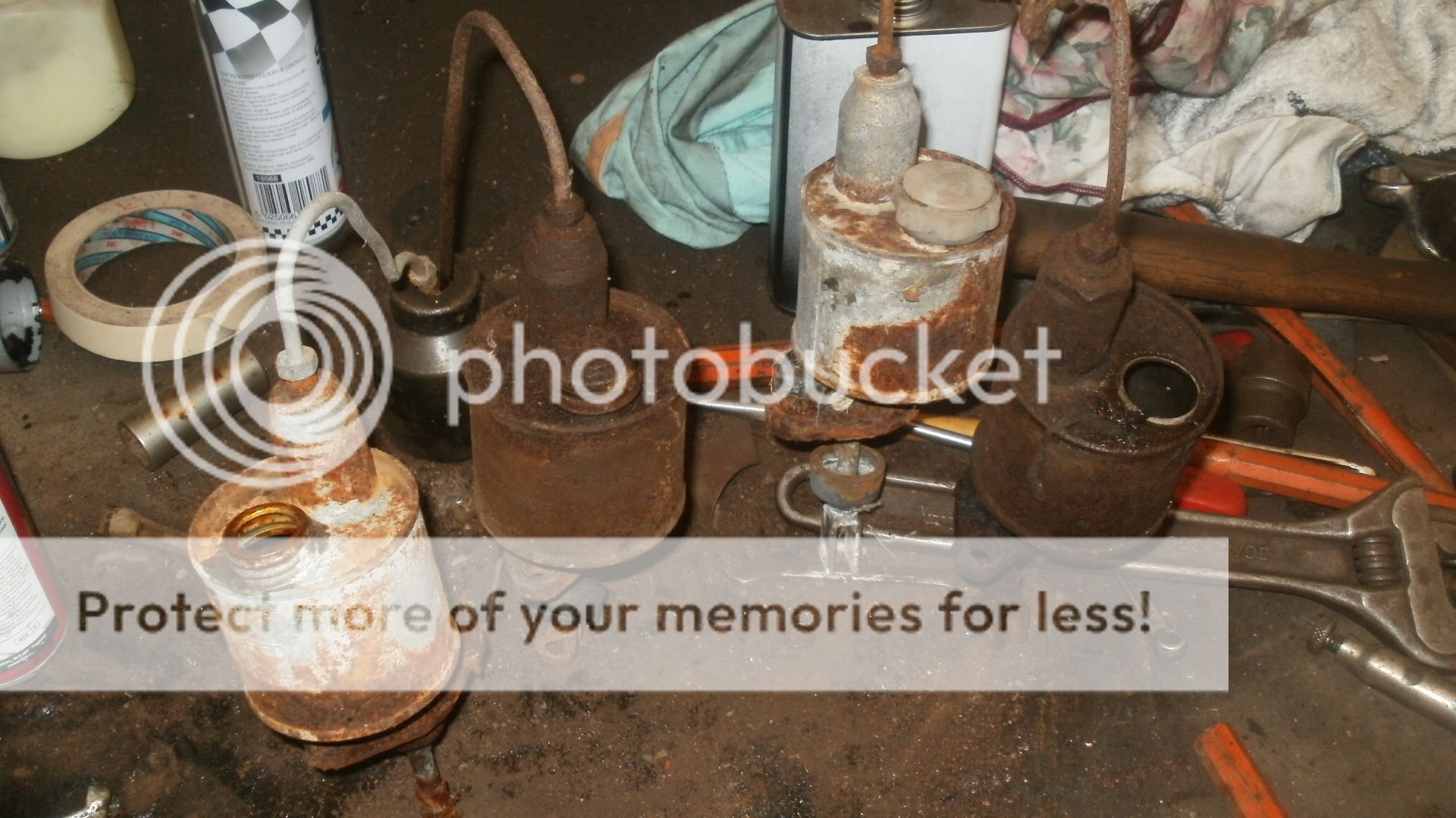 Posted Image