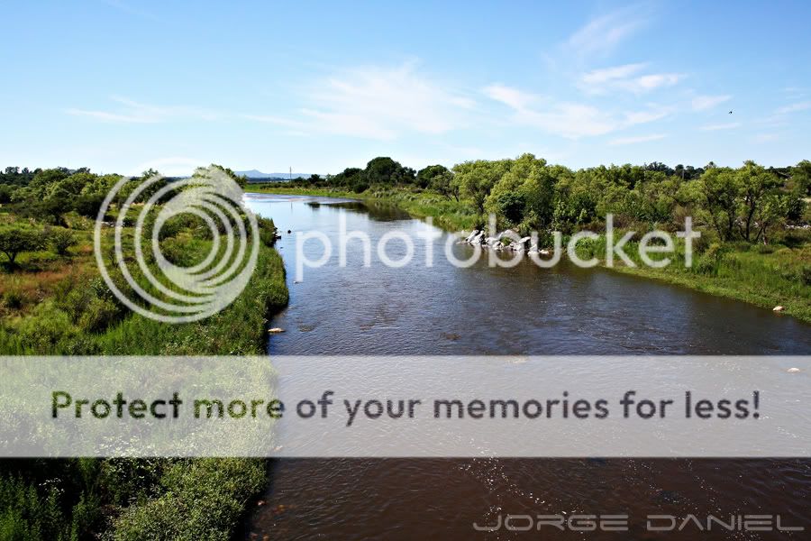 foto foto