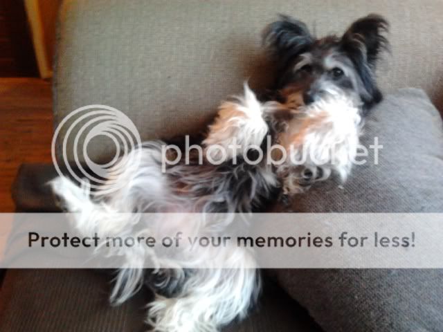 2011-12-04155955.jpg