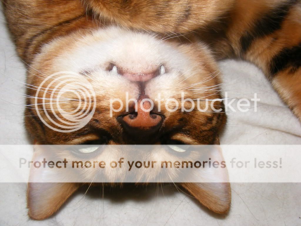 DSCF3995.jpg