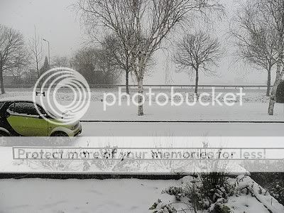 Sneeuw.jpg