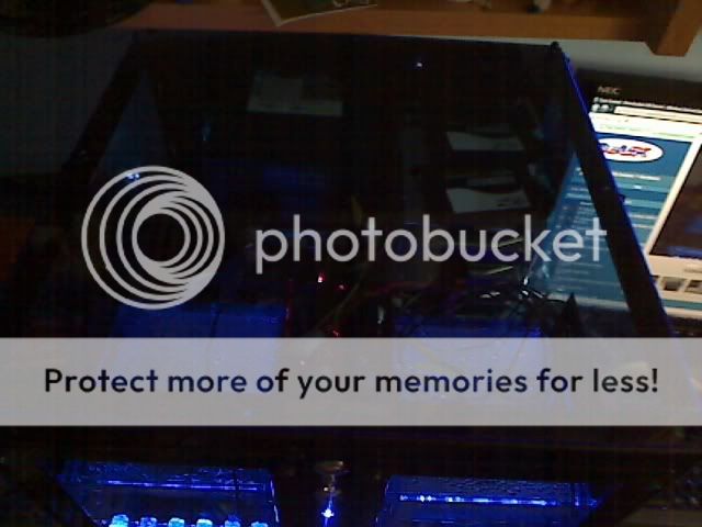 Picture11.jpg