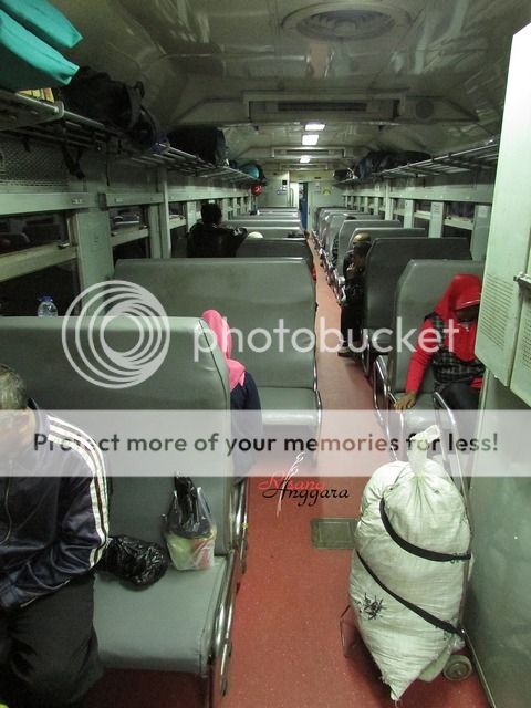 [Image: K3-00622KahurMNK5.jpg]