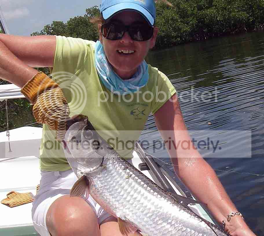 tarpon