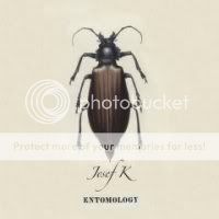 Josef K Entomology