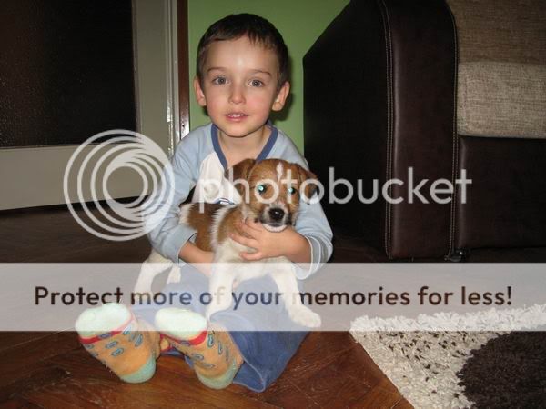 Prvo upoznavanje s deckom prvo upoznavanje s deckom