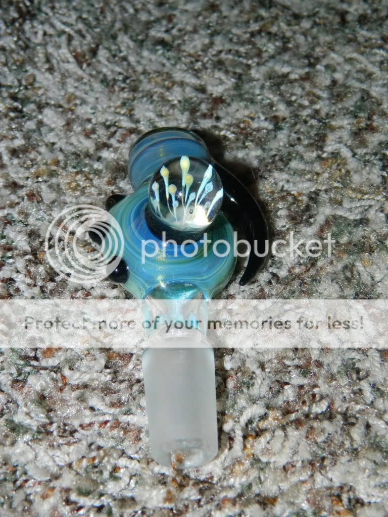 Posted Image