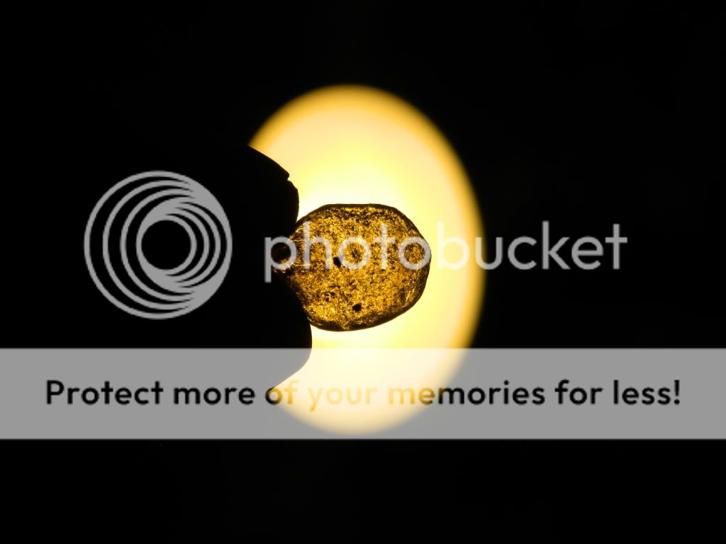 Posted Image