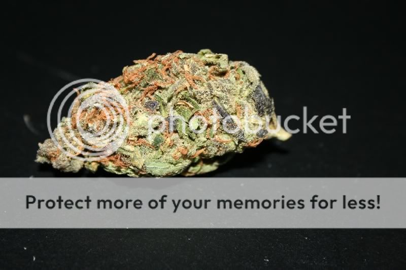 Posted Image