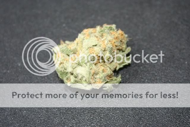 Posted Image