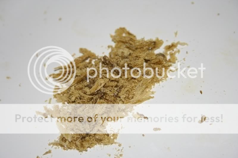 Posted Image