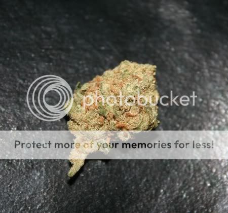 Posted Image
