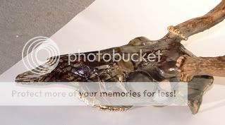 Posted Image