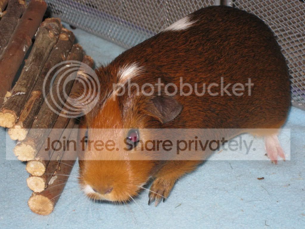 IMG_0384.jpg